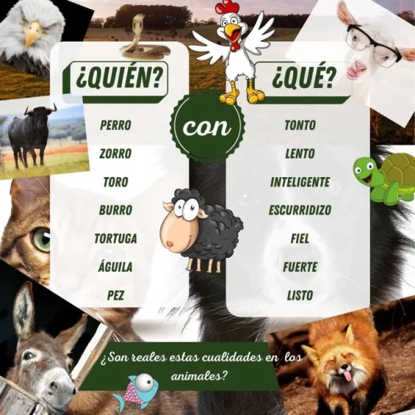 Material completo del episodio 19