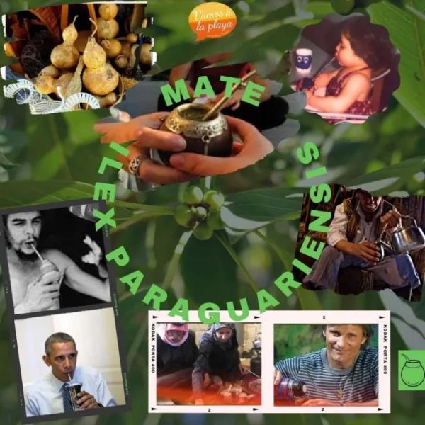 Material completo del episodio 37