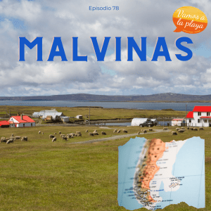Lee más sobre el artículo 78.Malvinas