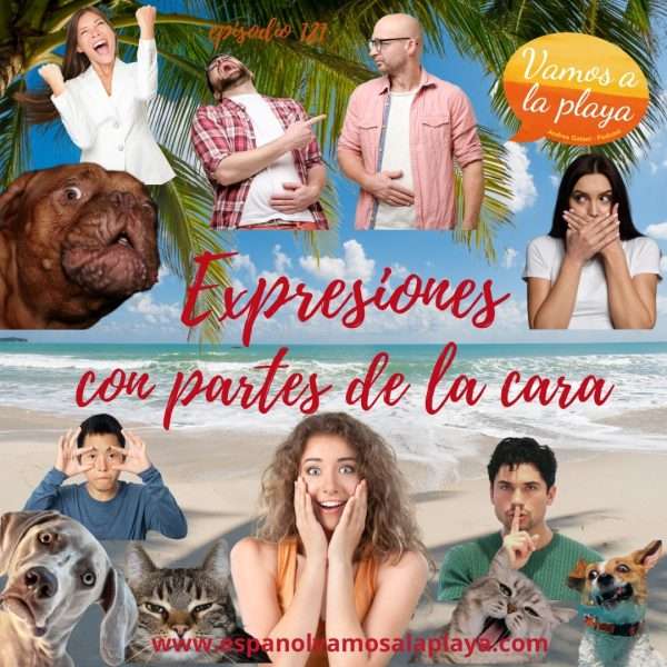 Material completo del episodio 121