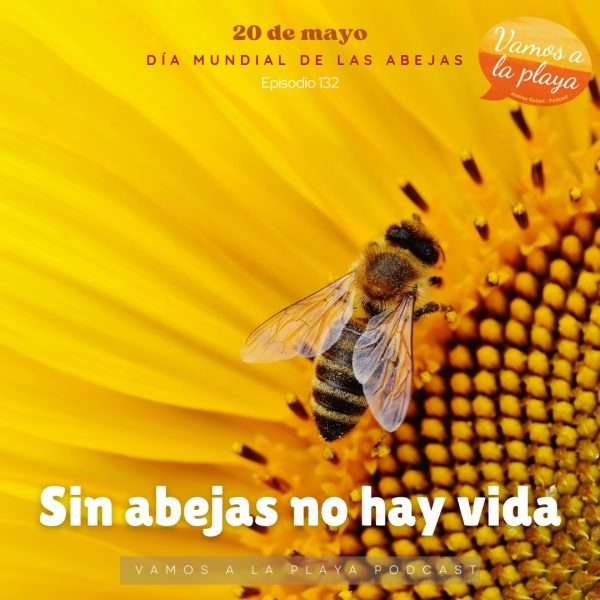 Material completo del episodio 132