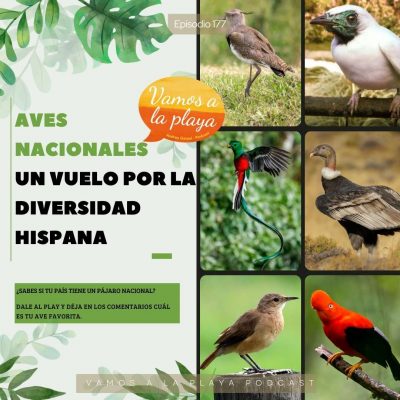 177. 🦅Aves Nacionales: Un vuelo por la diversidad hispana 🦜