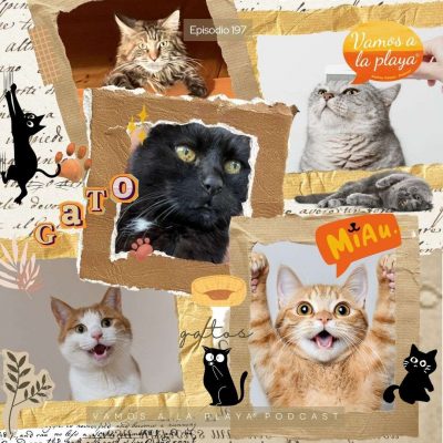 197.Un ronroneo en la historia🐈