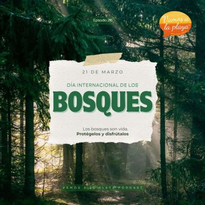 216. Día Internacional de los Bosques